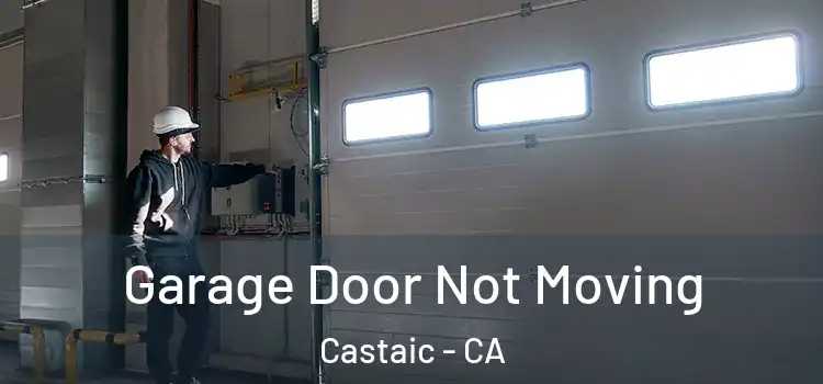  Garage Door Not Moving Castaic - CA