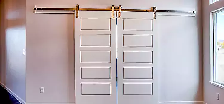 Glass Barn Door with Installation Hardware Kit Castaic