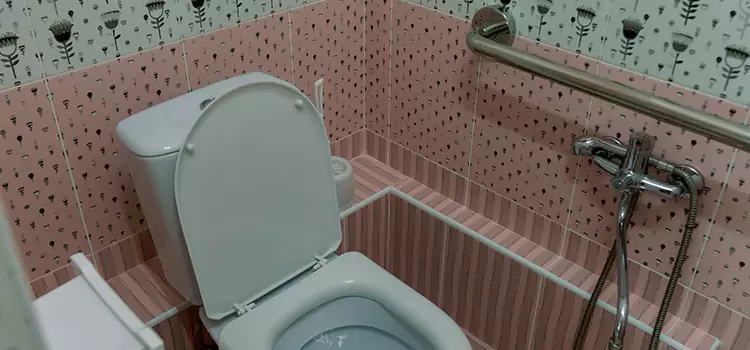 Meeting Diverse Needs With Accessible Restroom Solutions in Castaic, CA