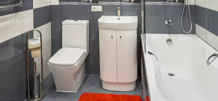 Hansgrohe Shaving Mirror Castaic